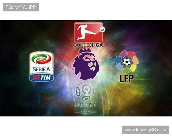 法甲比赛胜负的影响因素研究：天气、场地与判罚变量