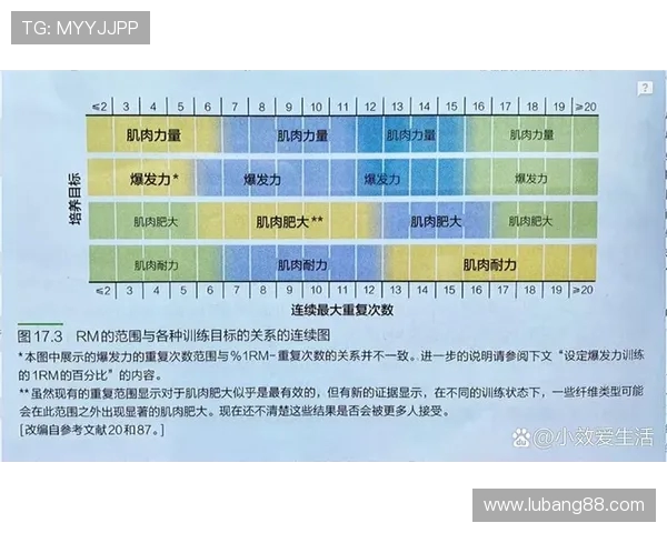 踢球燃脂增肌足球爱好者的科学健身方案