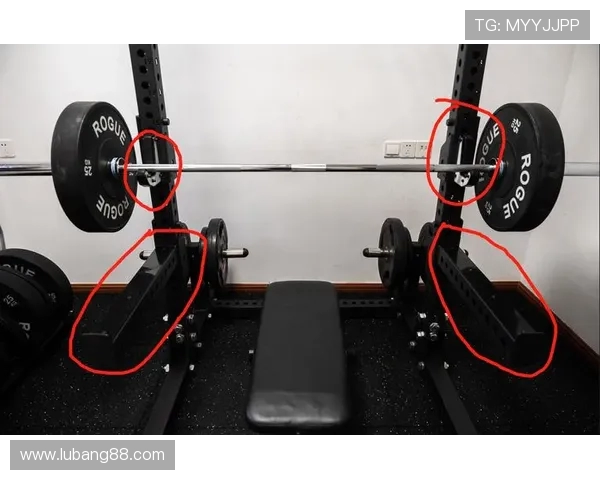 零基础打造家庭健身角中小型器械组合方案